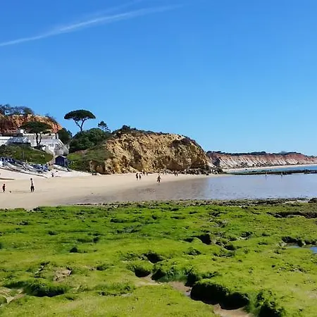 Vista Ondas - Ap דירה *